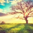 Accueillir les nouveaux musulmans [Vidéo]